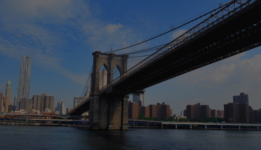 The Shanghai Business Hub in the United States